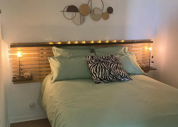 25 M De La - Front De - Vue Jardin Daire