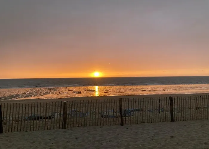 25 M De La - Front De - Vue Jardin Daire *