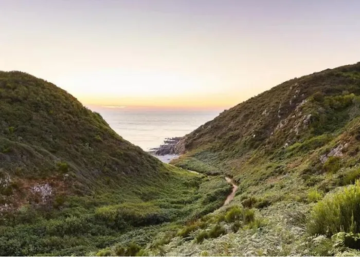 25 M De La - Front De - Vue Jardin Daire Jullouville-les-Pins