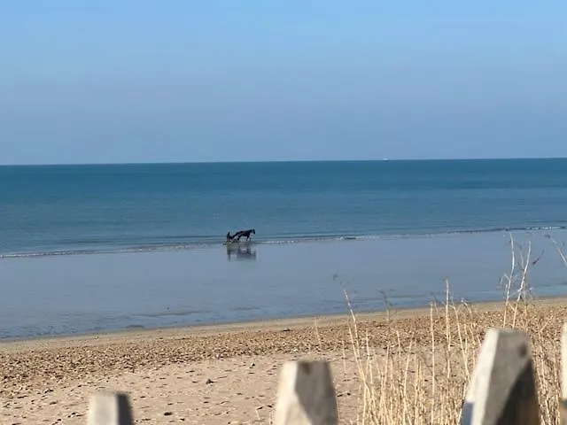 25 M De La - Front De - Vue Jardin Daire *