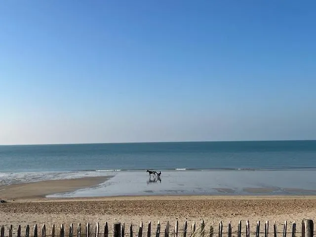 25 M De La - Front De - Vue Jardin Daire